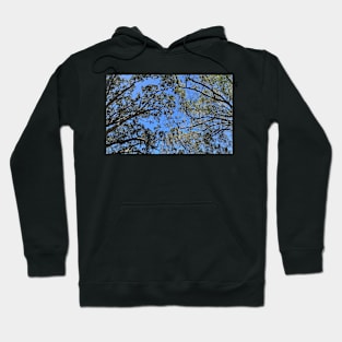 Trees Touch Hoodie